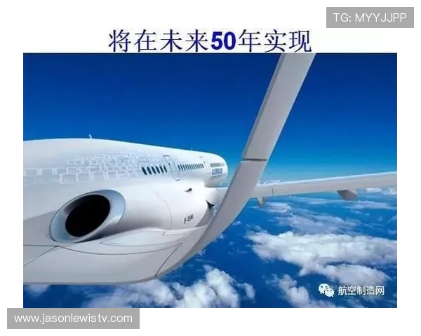 波音迈巴赫品牌在奢华航空市场中的市场份额与未来发展潜力